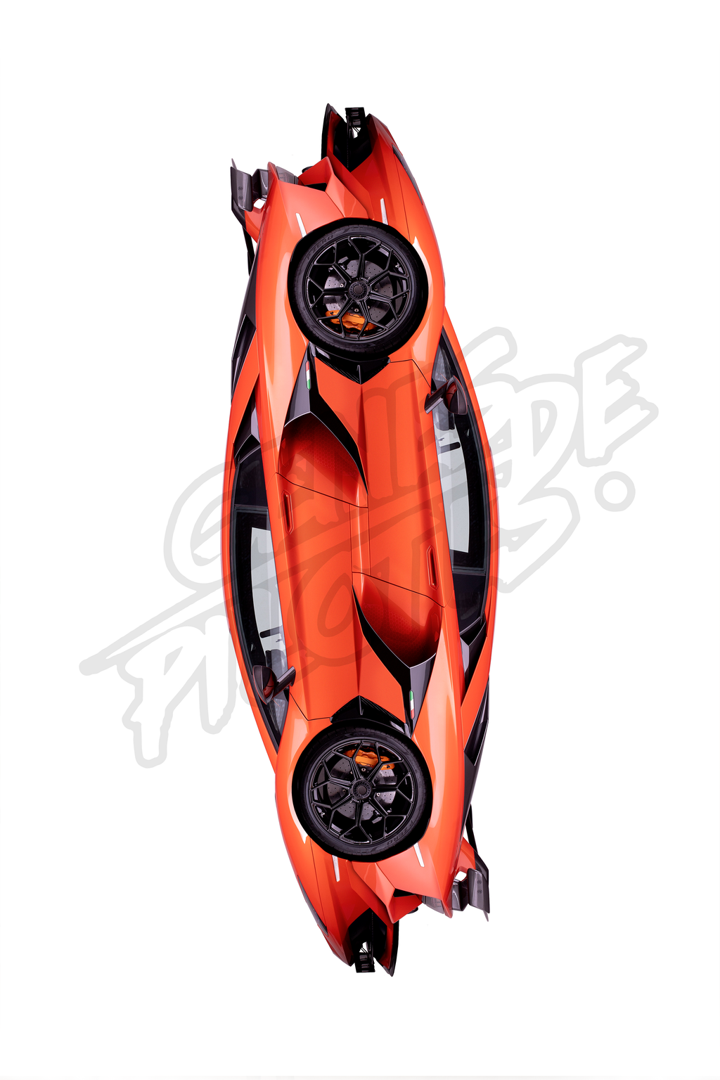 TORO ARANCIONE