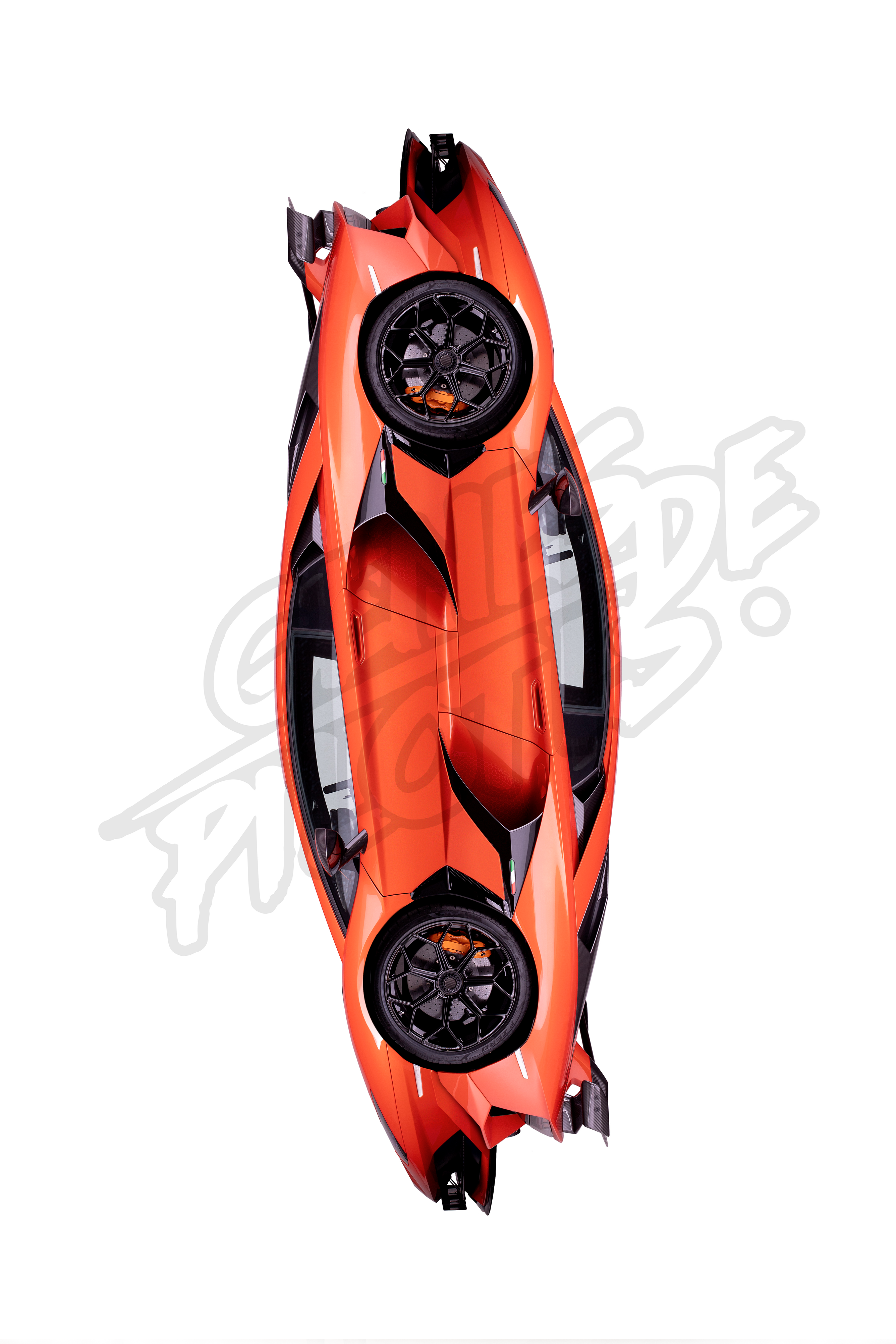 TORO ARANCIONE